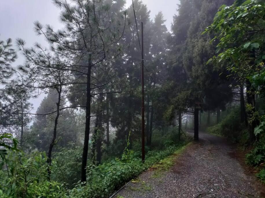 The Hill Story, Entire Chalet, Offbeat,Cozy 穆索里 外观 照片