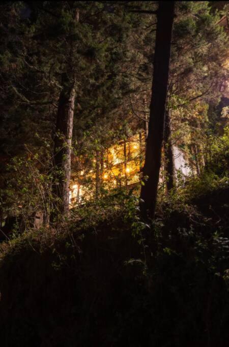 The Hill Story, Entire Chalet, Offbeat,Cozy 穆索里 外观 照片